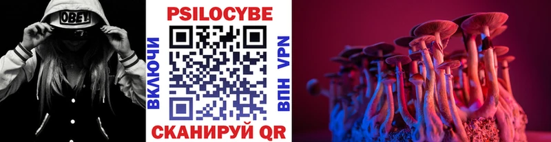 MEGA сайт  Томск  Псилоцибиновые грибы Magic Shrooms  как найти закладки 