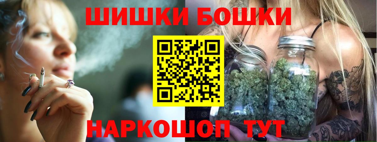 Томск  Бошки марихуана план  Вход с VPN  Конопля Bruce Banner 